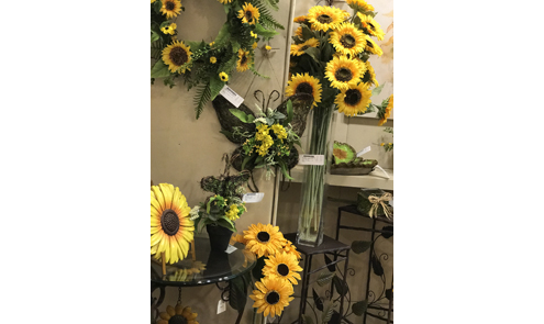 sunflower